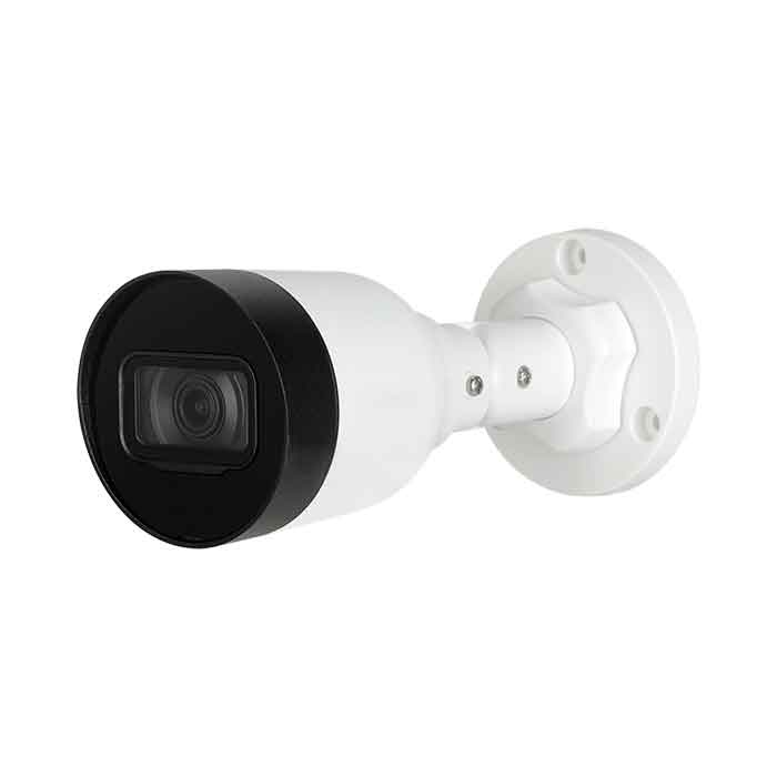 Camera IP hồng ngoại 2MP Dahua DS2230SFIP-S2