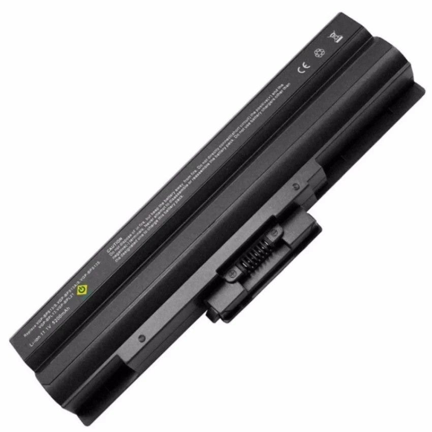 Pin laptop Sony BPS13/S21